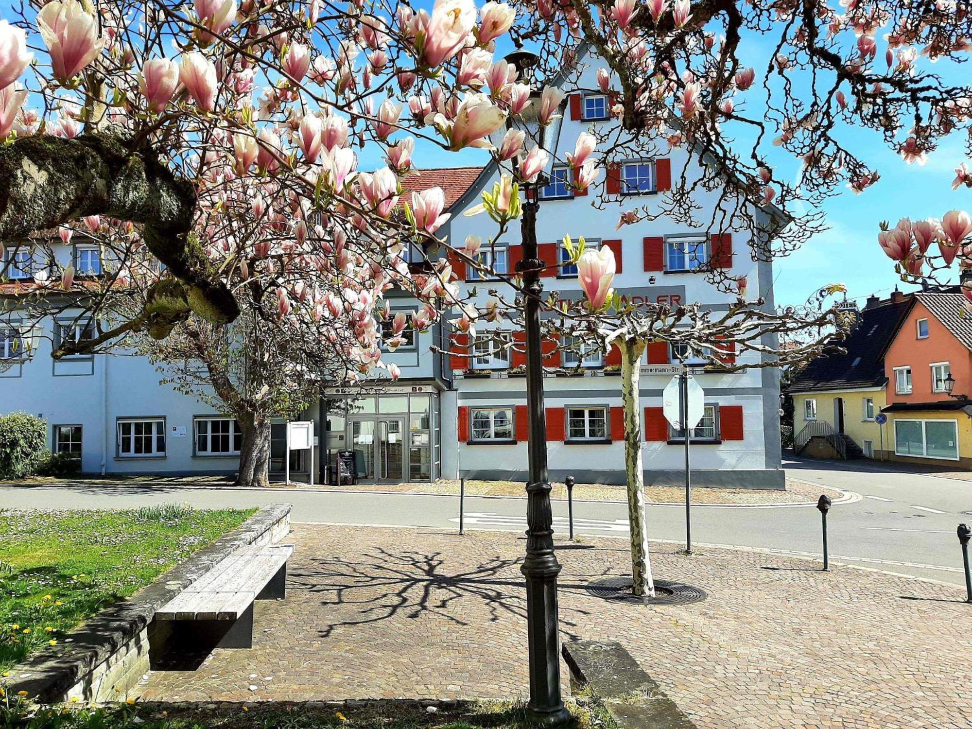 Hotel Restaurant Adler Immenstaad am Bodensee Zewnętrze zdjęcie